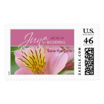 June Wedding Save the Date Postage Stamp