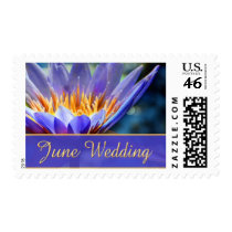 June Wedding stamps