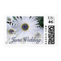 June Wedding stamps
