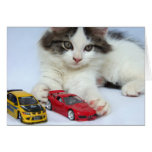 June Wild Kitten Cards