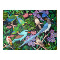 Jungle Birds of Asia Poster posters