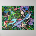 Jungle Birds of Asia Poster