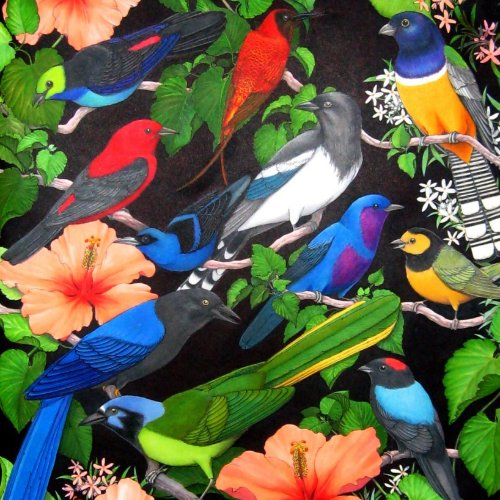 Jungle Birds of Mexico button