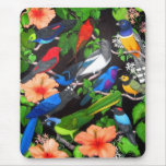 Jungle Birds of Mexico Mouse Mat