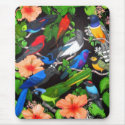 Jungle Birds of Mexico mousepads by twopurringcats Jungle Birds of Mexico mousepads