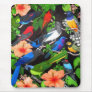 Jungle Birds of Mexico