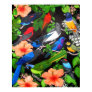 Jungle Birds of Mexico