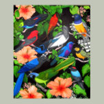 Jungle Birds of Mexico Print