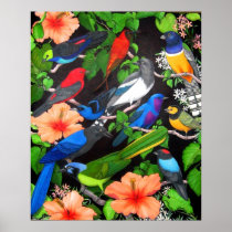 Jungle Birds of Mexico Print