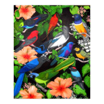 Jungle Birds of Mexico posters