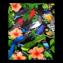 Jungle Birds of Mexico posters