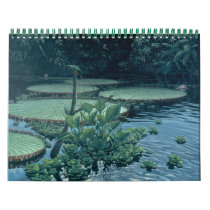 Jungle Calender calendars by carpenterjim Jungle Calender calendars
