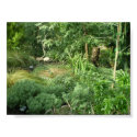 Jungle Canvas posters by audreyrose_atkinson Jungle Canvas posters