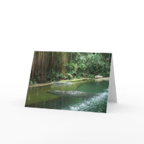 Jungle cards