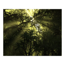 Jungle Complexation Poster posters