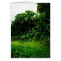 Jungle / Crocodile Alley cards