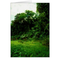 Jungle / Crocodile Alley cards by Merritt_B Jungle / Crocodile Alley cards