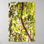 Jungle Fever Print