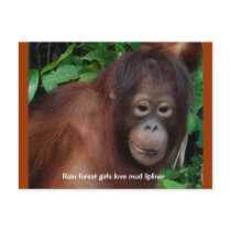 Jungle Girl Beauty Tip #1 postcards