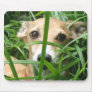 Jungle Iggy Mouse Pad