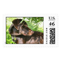 Jungle Jake postage by mdgordon Jungle Jake postage