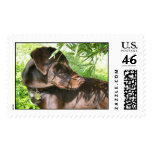 Jungle Jake postage