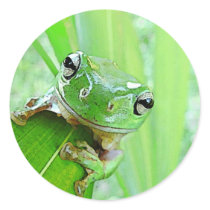 Jungle Jewels Stickers by orglioness Jungle Jewels Stickers