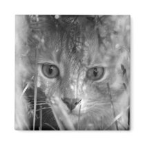 Jungle Legend B&W magnets