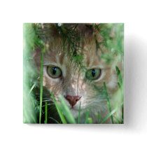 Jungle Legend buttons