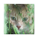 Jungle Legend magnets by wottwin Jungle Legend magnets