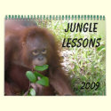 Jungle Lessons animal calendar by Rebecca_Reeder Jungle Lessons animal calendar