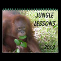 Jungle Lessons animal calendar