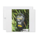 Jungle Meter Announcements