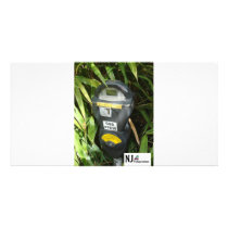 Jungle Meter photo cards