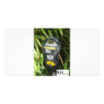 Jungle Meter Photo Cards