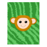 Jungle Monkey, Face. Postcard