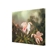 Jungle orchids and hummingbirds, 1872 wrappedcanvas