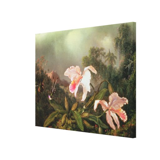 Jungle orchids and hummingbirds, 1872 canvas print