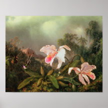 Jungle orchids and hummingbirds, 1872 print