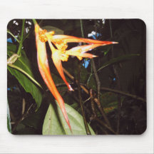 Jungle plant mousepads