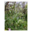 Jungle posters