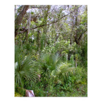 Jungle posters
