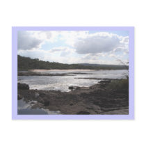 Jungle River postcards by nomadlandscapes Jungle River postcards
