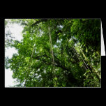 Jungle Ropes Card