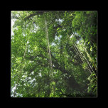 Jungle Ropes Magnet