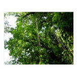 Jungle Ropes Postcard