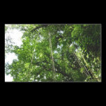 Jungle Ropes Sticker