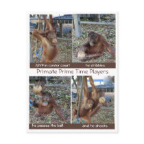 Jungle School basketball postcards