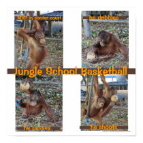 Jungle School Basketball posters by Rebecca_Reeder Jungle School Basketball posters
