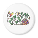 Jungle snail magnets